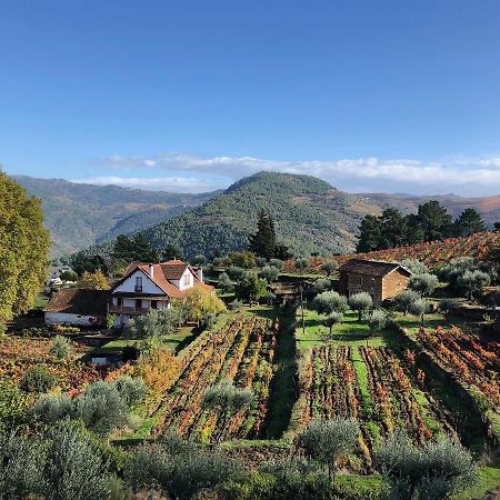Quinta Vila Rachel - Winery Sao Mamede de Ribatua Ngoại thất bức ảnh
