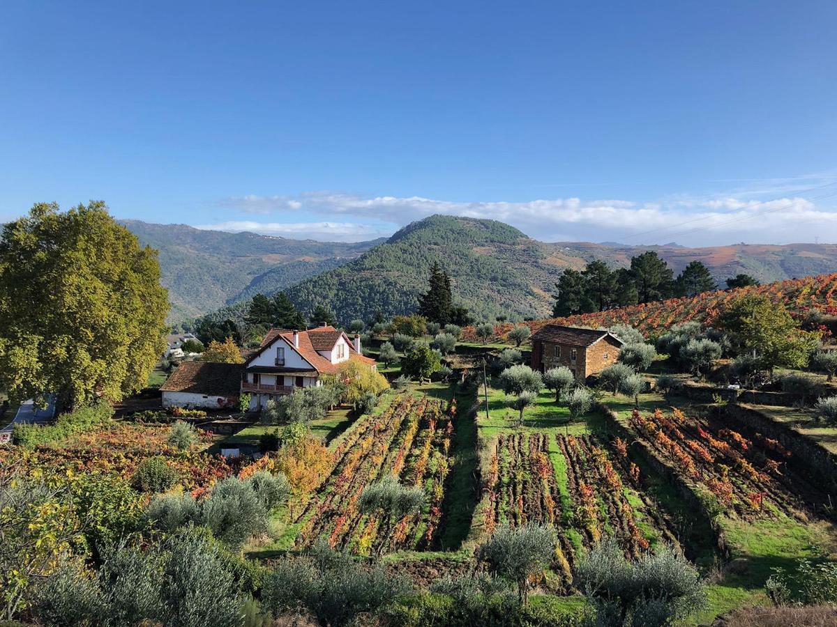 Quinta Vila Rachel - Winery Sao Mamede de Ribatua Ngoại thất bức ảnh